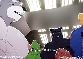 Compilation of Zcik